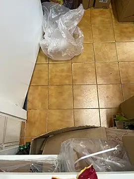 Mindnorthcam2 online show from 02/16/26, 07:48