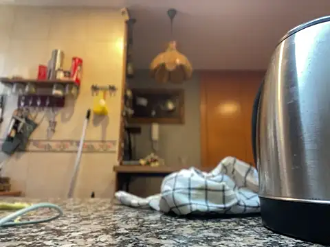 camelia3 online show from 11/22/25, 12:48