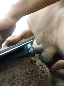 indianbulldelhi online show from 01/27/25, 07:45