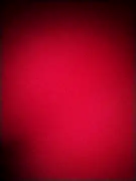 EvaCristal online show from 12/20/25, 09:49