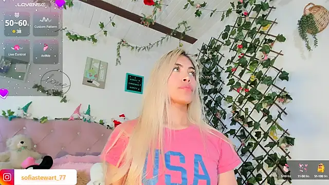 steewart  online show from 12/29/24, 11:29