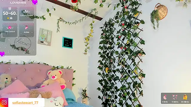 steewart  online show from 01/30/25, 03:55