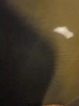 Sripandara1 online show from 03/22/25, 12:04