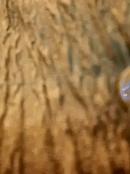 Dirtyfeelin online show from 02/13/25, 11:28