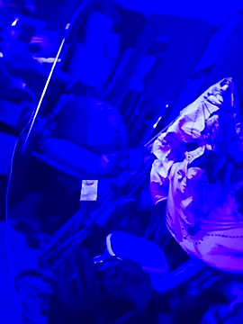 justinewe69 online show from 09/23/25, 03:31