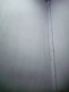 TropicalFlower online show from 12/16/25, 10:31