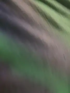 Snapshot of K100x chatting on 11/15/25, 02:31 K100x online show from 11/15/25, 02:31