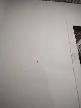 catdool online show from 02/06/26, 10:35