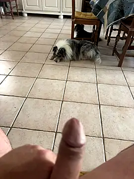 Snapshot of Loul41 chatting on 11/02/25, 03:03 Loul41 online show from 11/02/25, 03:03