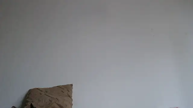 Katze22 online show from 12/13/24, 09:57