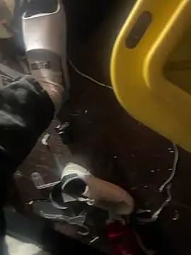 Exclusivenutxxx online show from 01/23/25, 06:56