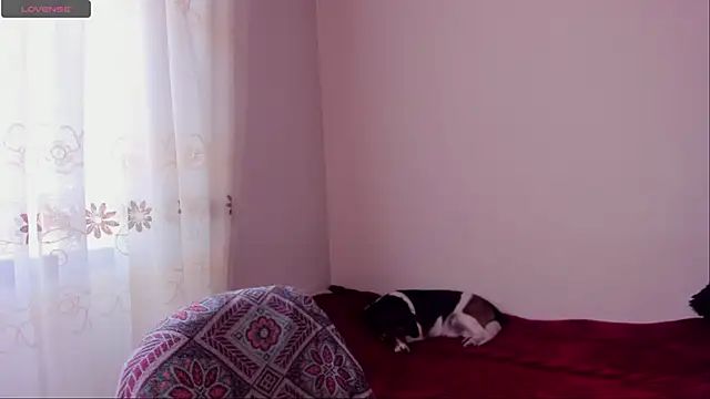 aluna 0310 online show from 12/20/24, 08:45