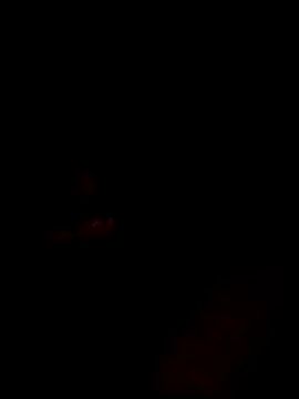 Snapshot of websterribeiro chatting on 03/11/26, 03:45 websterribeiro online show from 03/11/26, 03:45