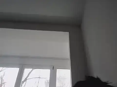 Snapshot of FallenDevil chatting on 01/25/25, 11:55 FallenDevil online show from 01/25/25, 11:55