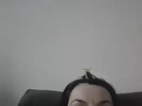 Snapshot of FallenDevil chatting on 03/07/25, 04:00 FallenDevil online show from 03/07/25, 04:00