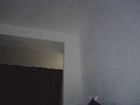 Snapshot of FallenDevil chatting on 03/13/26, 07:09 FallenDevil online show from 03/13/26, 07:09