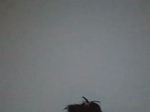 FallenDevil online show from 05/31/26, 07:48