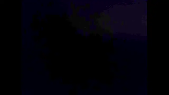 hairyuncut00 online show from 11/02/25, 06:10