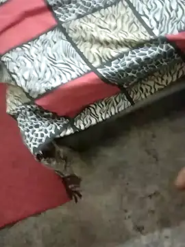 Snapshot of rameshmry1 chatting on 01/21/25, 01:50 rameshmry1 online show from 01/21/25, 01:50