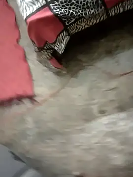 Snapshot of rameshmry1 chatting on 01/22/25, 01:31 rameshmry1 online show from 01/22/25, 01:31