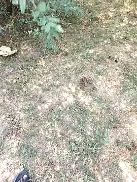 rameshmry1 online show from 03/29/26, 05:29