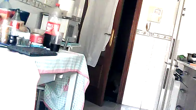 bixesualactivo online show from 03/23/26, 11:58