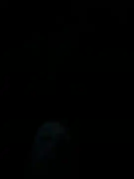 Snapshot of dropmoney chatting on 12/01/25, 05:01 dropmoney online show from 12/01/25, 05:01