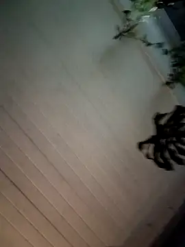 Snapshot of Nikkierosee chatting on 12/14/24, 10:56 Nikkierosee online show from 12/14/24, 10:56