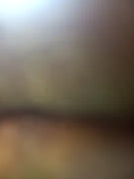 FinableKnee online show from 11/27/25, 05:31