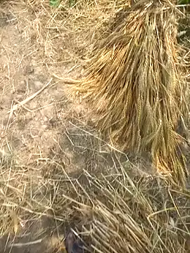 FinableKnee online show from 04/08/26, 05:29