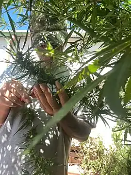 Alicbranca online show from 03/22/26, 03:26