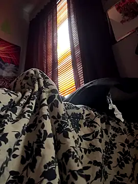 Snapshot of spideyzaddy chatting on 11/26/25, 04:41 spideyzaddy online show from 11/26/25, 04:41