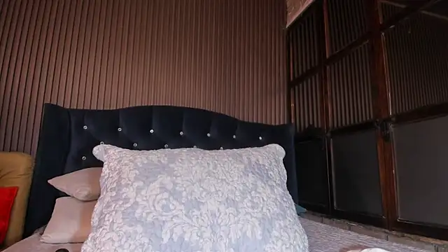 Snapshot of JuliaDawson_ chatting on 02/15/26, 11:56 JuliaDawson online show from 02/15/26, 11:56