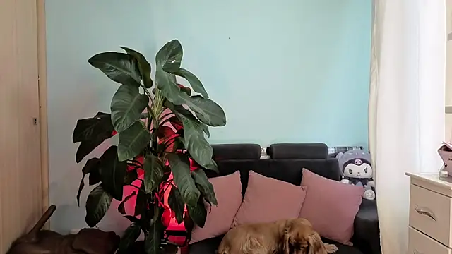 melisa es online show from 02/05/26, 02:54