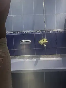 Snapshot of Arabien_Pharaoh- chatting on 03/20/25, 05:58 Arabien Pharaoh- online show from 03/20/25, 05:58