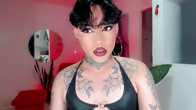 little star porn online show from 11/27/25, 03:30