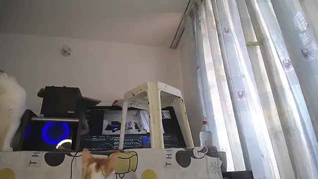 eolicasex online show from 04/04/26, 04:26