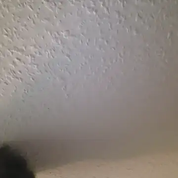 Zauberstab8 online show from 10/19/25, 08:53