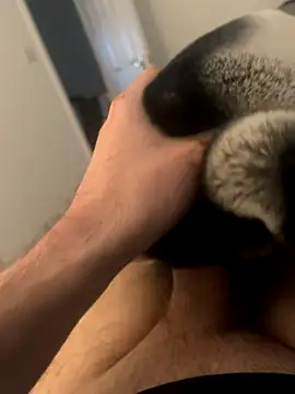 Snapshot of Furdale chatting on 12/03/24, 03:00 Furdale online show from 12/03/24, 03:00