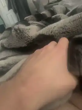 Snapshot of Furdale chatting on 12/04/24, 11:52 Furdale online show from 12/04/24, 11:52