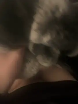 Snapshot of Furdale chatting on 12/17/24, 04:00 Furdale online show from 12/17/24, 04:00