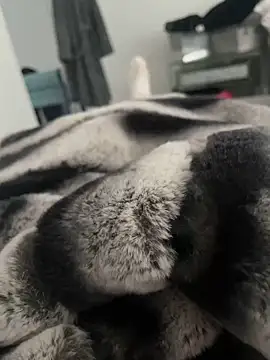 Snapshot of Furdale chatting on 12/18/24, 11:56 Furdale online show from 12/18/24, 11:56