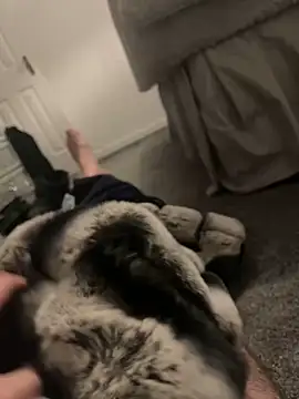 Snapshot of Furdale chatting on 01/06/25, 04:55 Furdale online show from 01/06/25, 04:55