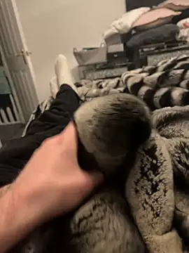 Snapshot of Furdale chatting on 02/11/25, 06:11 Furdale online show from 02/11/25, 06:11