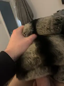 Snapshot of Furdale chatting on 02/12/25, 02:54 Furdale online show from 02/12/25, 02:54