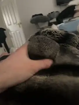 Snapshot of Furdale chatting on 02/16/25, 10:21 Furdale online show from 02/16/25, 10:21