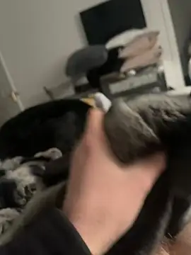 Snapshot of Furdale chatting on 02/16/25, 02:32 Furdale online show from 02/16/25, 02:32