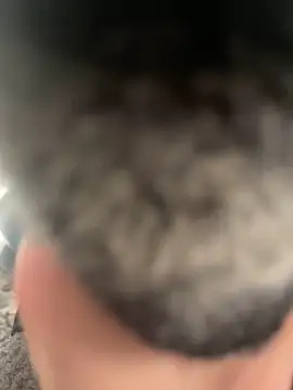 Snapshot of Furdale chatting on 02/22/25, 04:40 Furdale online show from 02/22/25, 04:40