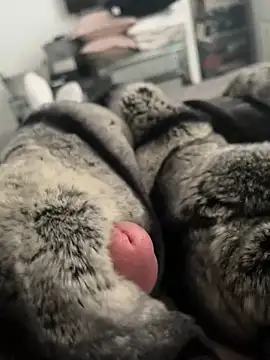 Snapshot of Furdale chatting on 02/26/25, 12:58 Furdale online show from 02/26/25, 12:58