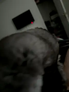 Snapshot of Furdale chatting on 10/02/25, 03:30 Furdale online show from 10/02/25, 03:30